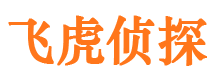 雷波市私家侦探